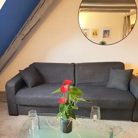 Daire Vue Petite Venise-place To Be Old Town - Parking Colmar
