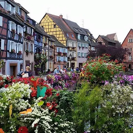 Daire Vue Petite Venise-place To Be Old Town - Parking *