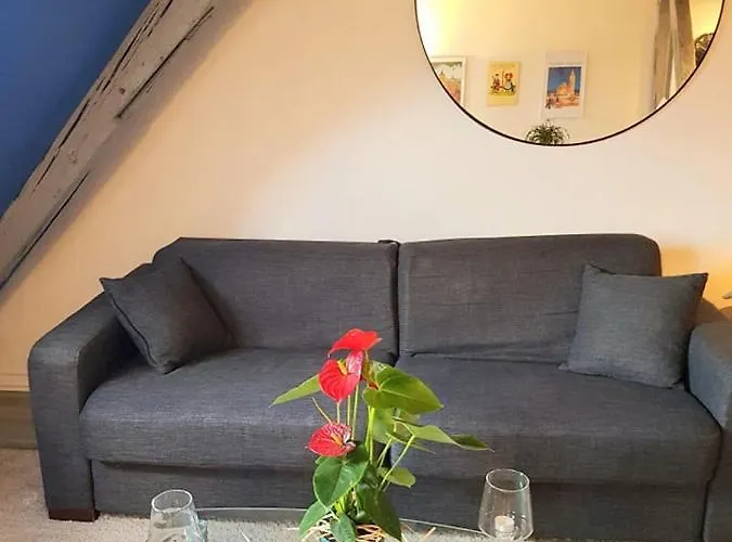 Appartement Vue Petite Venise-place To Be Old Town - Parking Colmar